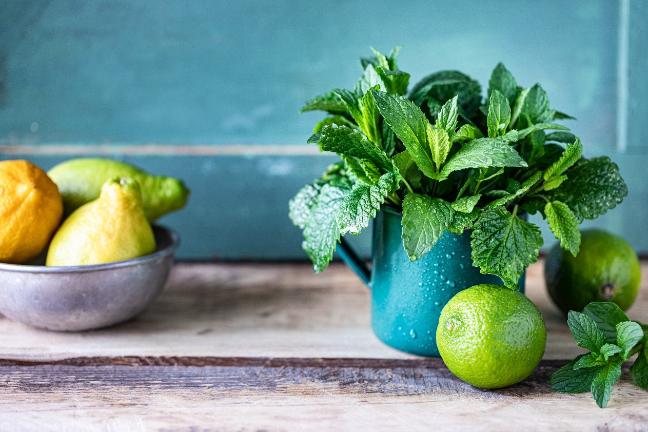 Jakie zioła hodować na parapecie w kuchni?