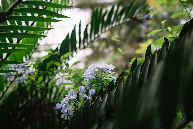 Creating a Tranquil Garden Oasis for Mindful Relaxation