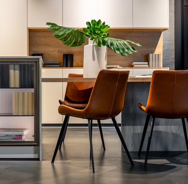 How Can Modern Chairs Transform Your Living Space?